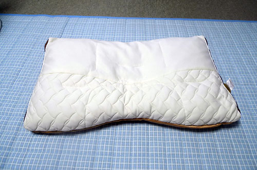 46.9:500:332:0:0:Pillow1:center:1:1::1: