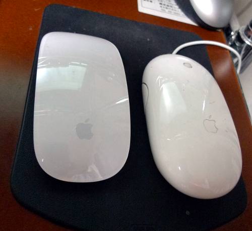 24.4:500:460:0:0:Mouse11:center:1:1::1: