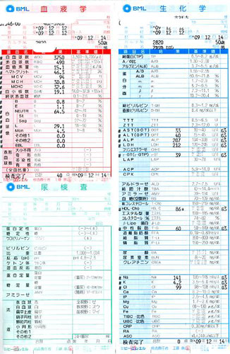 62.9:326:500:0:0:ketsueki-kensa006:center:1:1::1: