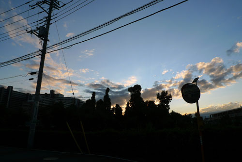 28.9:500:334:0:0:20110923-14:center:1:1::1: