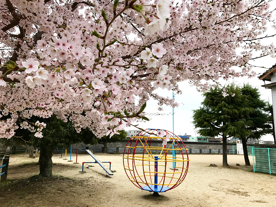 三重県津市にて