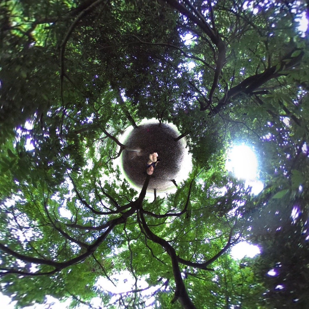 小金井公園にて