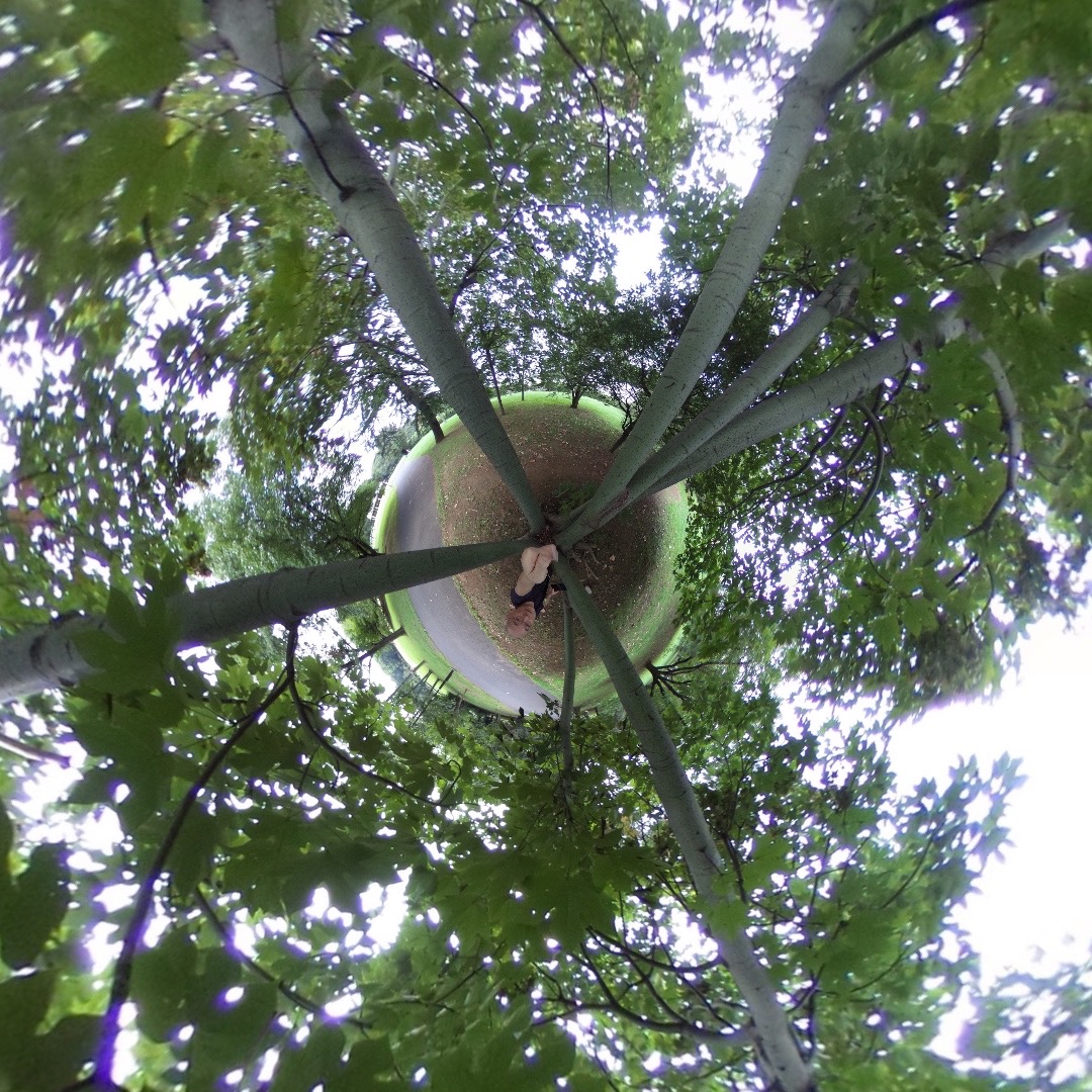 小金井公園にて