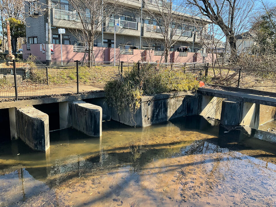 玉川上水分水口