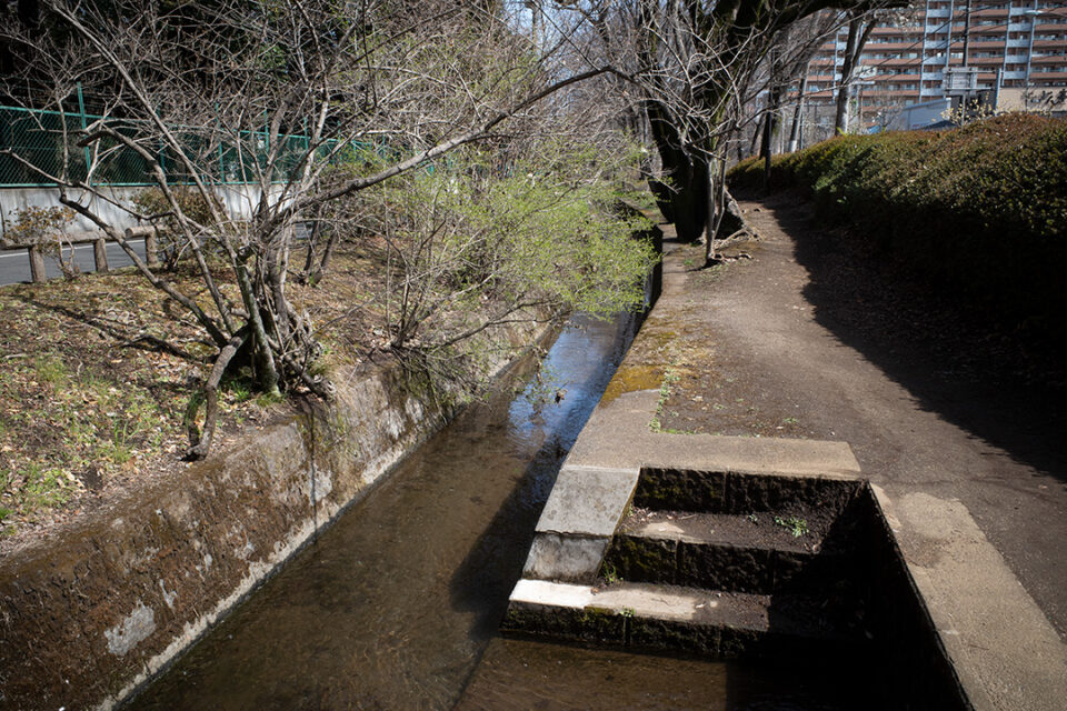 千川上水