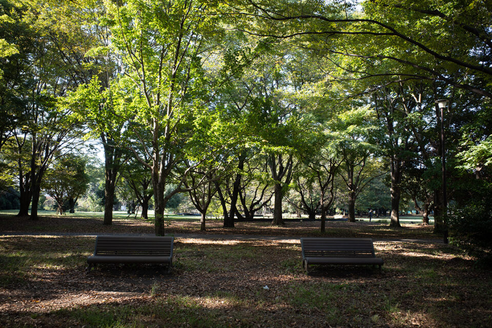 小金井公園にて