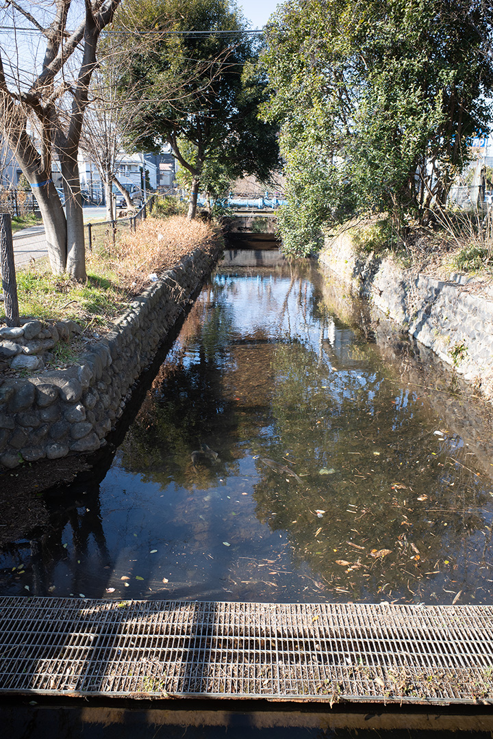 玉川上水