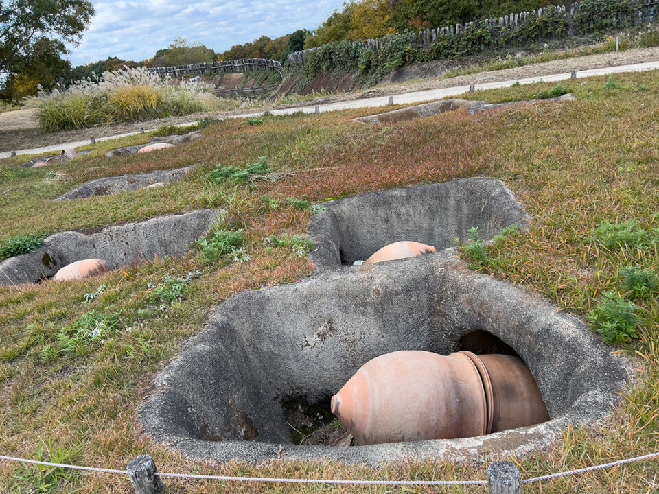 甕棺墓列